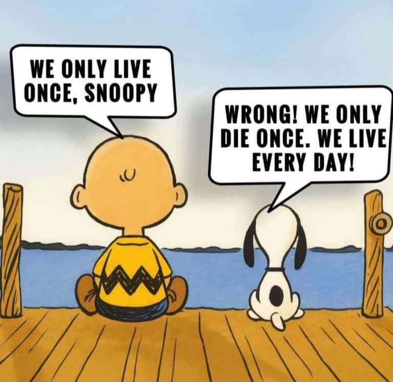 Why We Never Seem to Run Out of Problems!